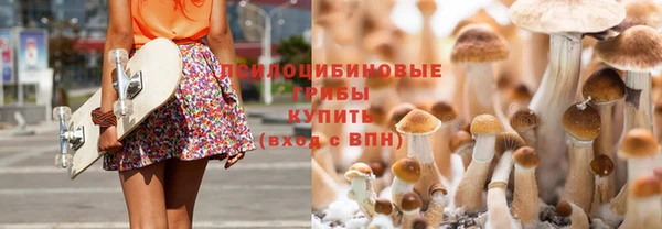 MDMA Бородино
