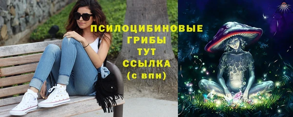 MDMA Бородино