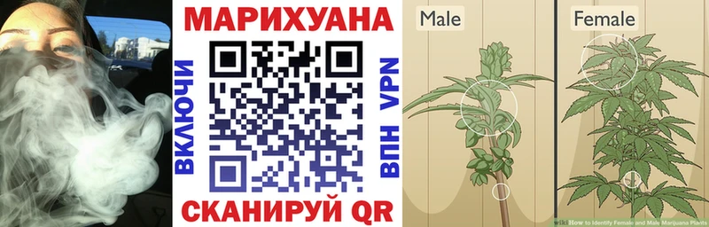 Канабис тримм  Купить  Губкин 